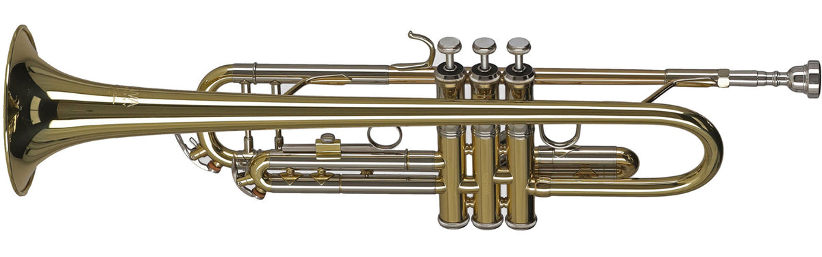 Ambition TR501 Silver Lacquered