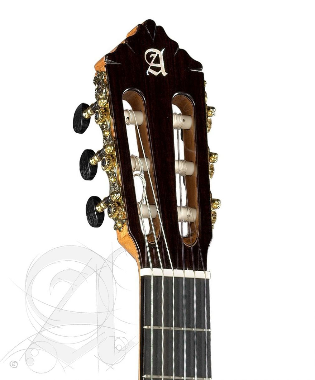 Concert 10Fc Flamenco + 9557 Case