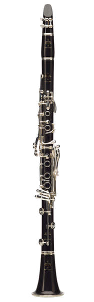 R13