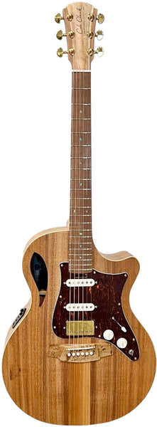 Cole Clark AN2EC-BLBL-HSS Case