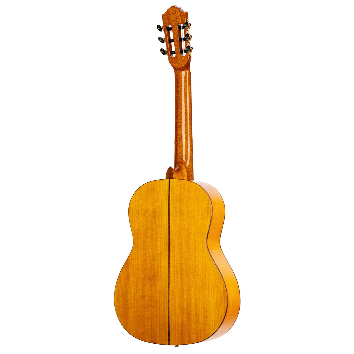 Flamenco Guitar R170F