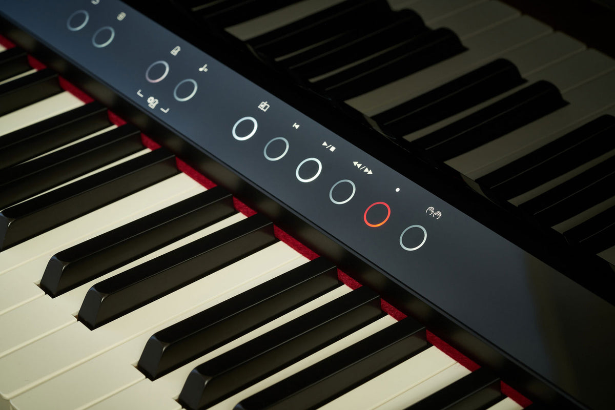 LX-9 Polished Black