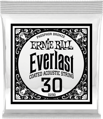 .030 EVERLAST COATED PHOSPHOR BRONZE ACOUSTIC GUITAR STRINGS