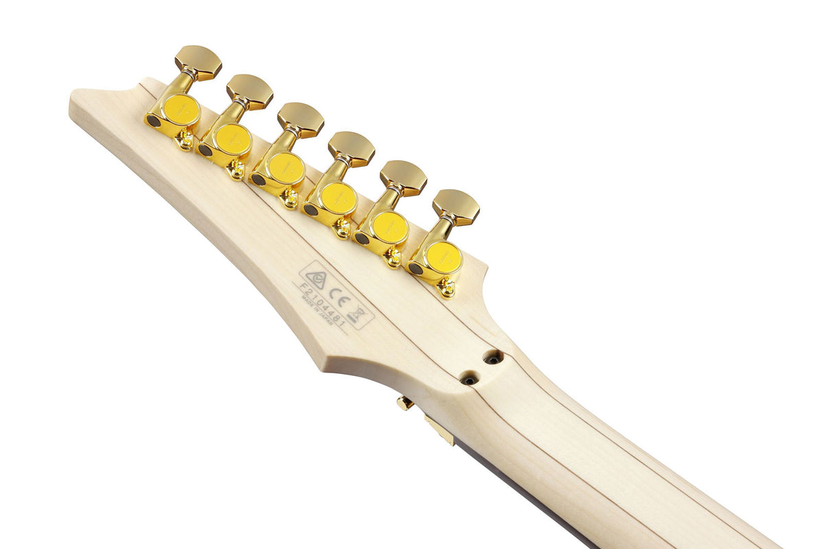 PIA3761-XB Onyx Black Signature Steve Vai Pia