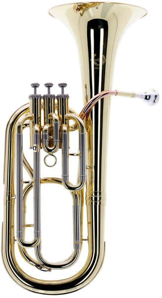 WSH200 - Bb Varnished