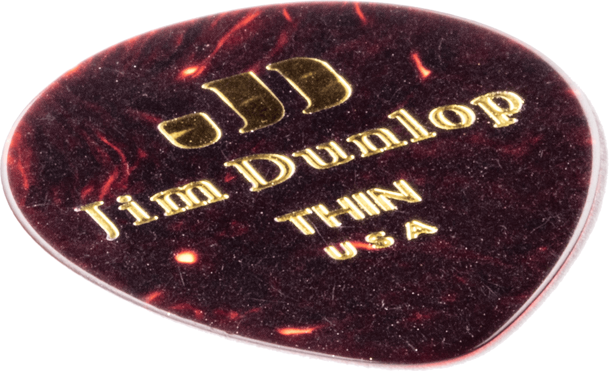 12 x Shell Teardrop Thin