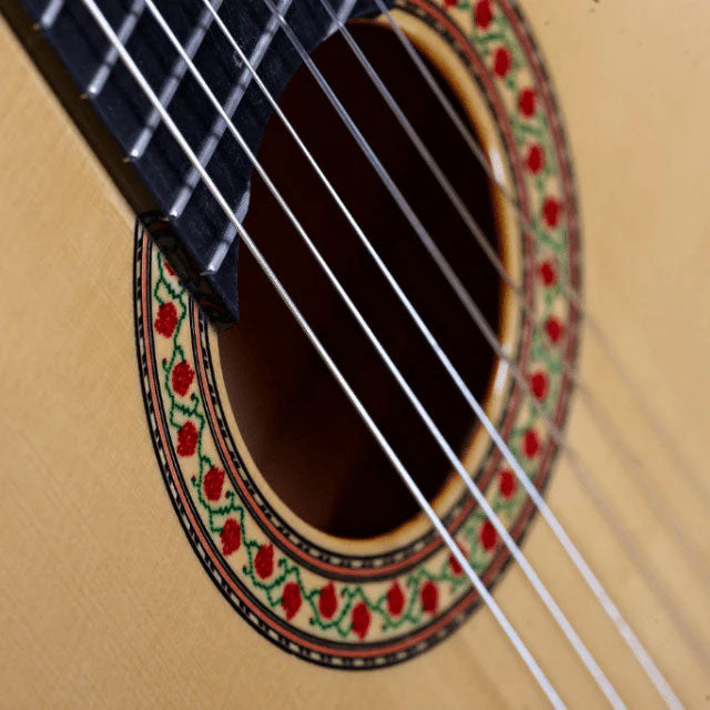 Professional M & M Flamenco Cypress + Case 9568