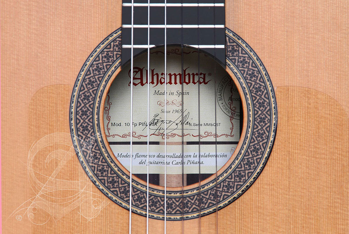 Concert 10Fp Piñana Flamenco + 9557 Case
