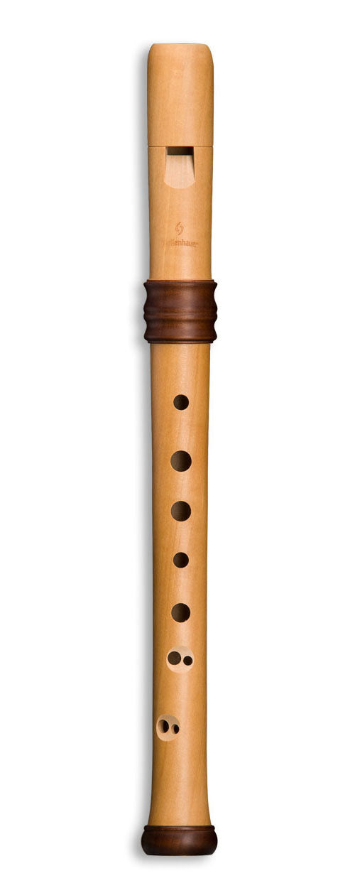 ADRI'S DREAM RECORDER SOPRANO 4119