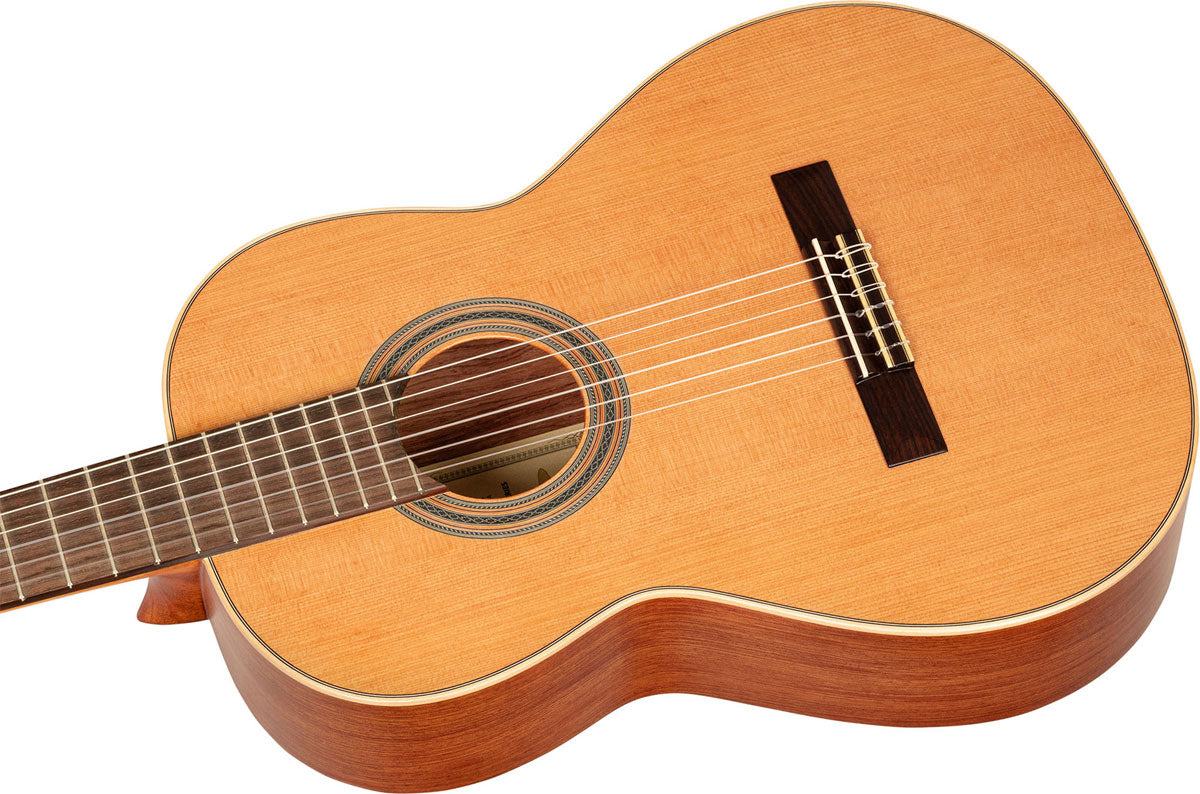 Traditional 4/4 6 LH + Pro Gig Bag