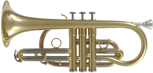 WCR200 - Si B Varnished
