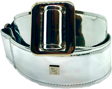 Mirror Reflective Silver