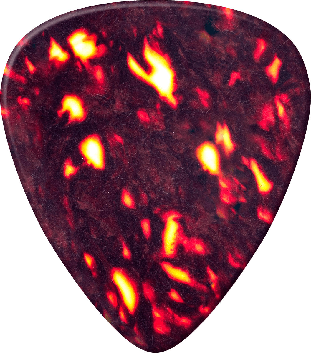 12 x Genuine Celluloid Shell Heavy