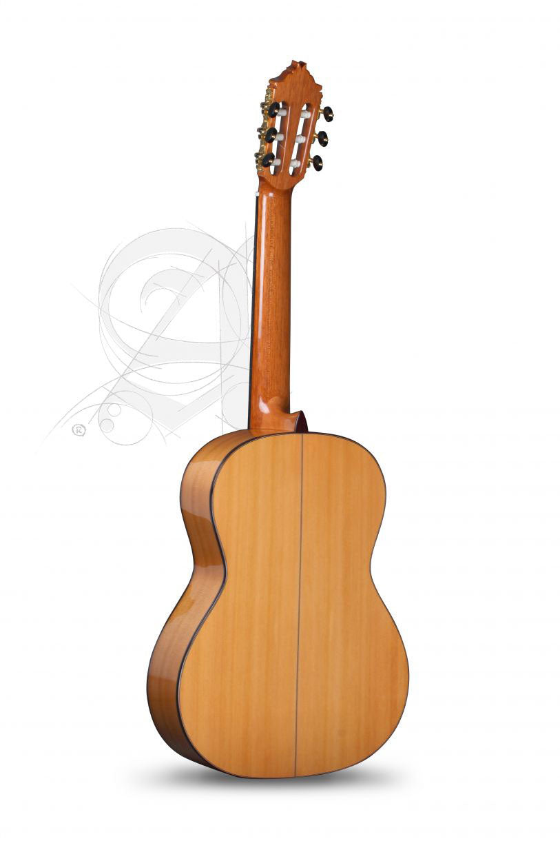 Concert 8Fc Flamenco + 9557 Case
