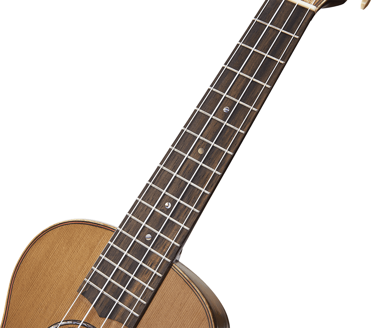 Concert Natural Electro + Gig Bag