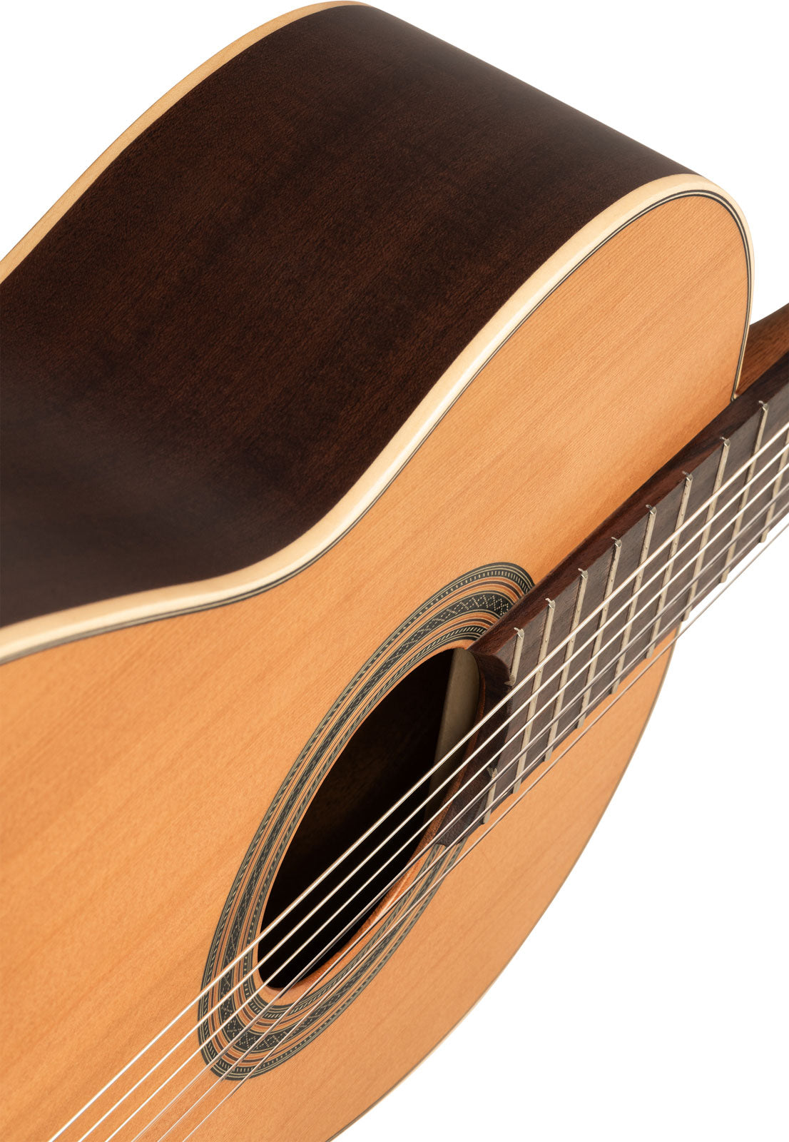 Traditional 4/4 + Pro Gig Bag