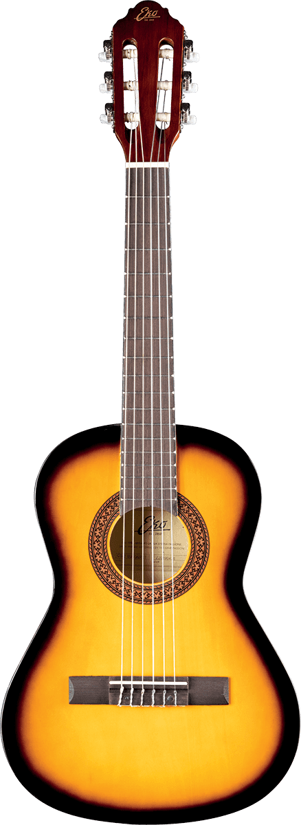 CS-2 1/2 Sunburst + Gig Bag