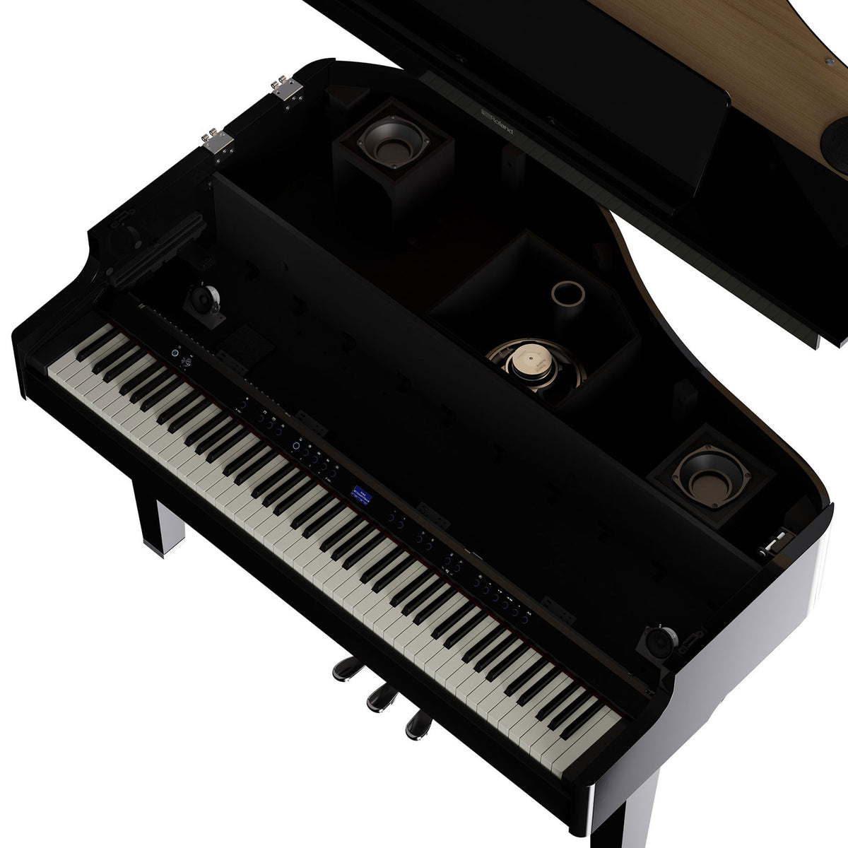 GP-6 Pe Ebolish Black