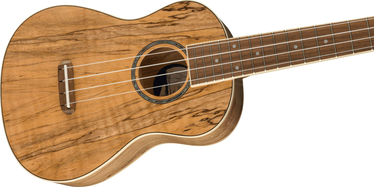 Zuma Uke Exotic Concert Wn Spalted Maple