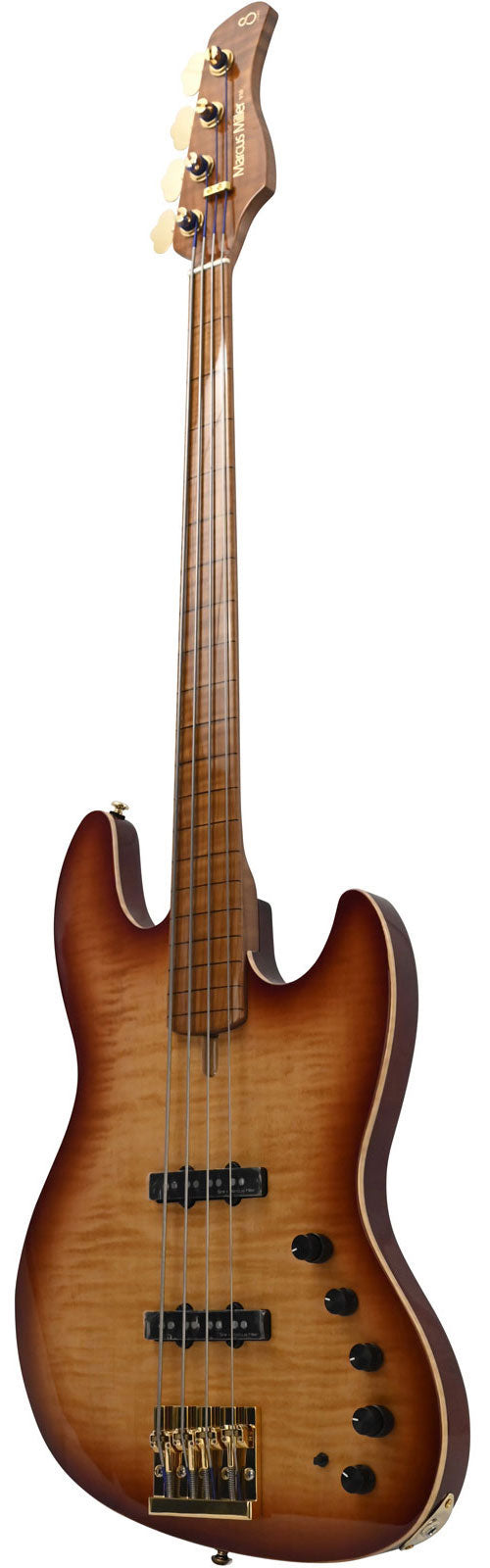 V10 DX Swamp Ash-4 FL TS MN + Case