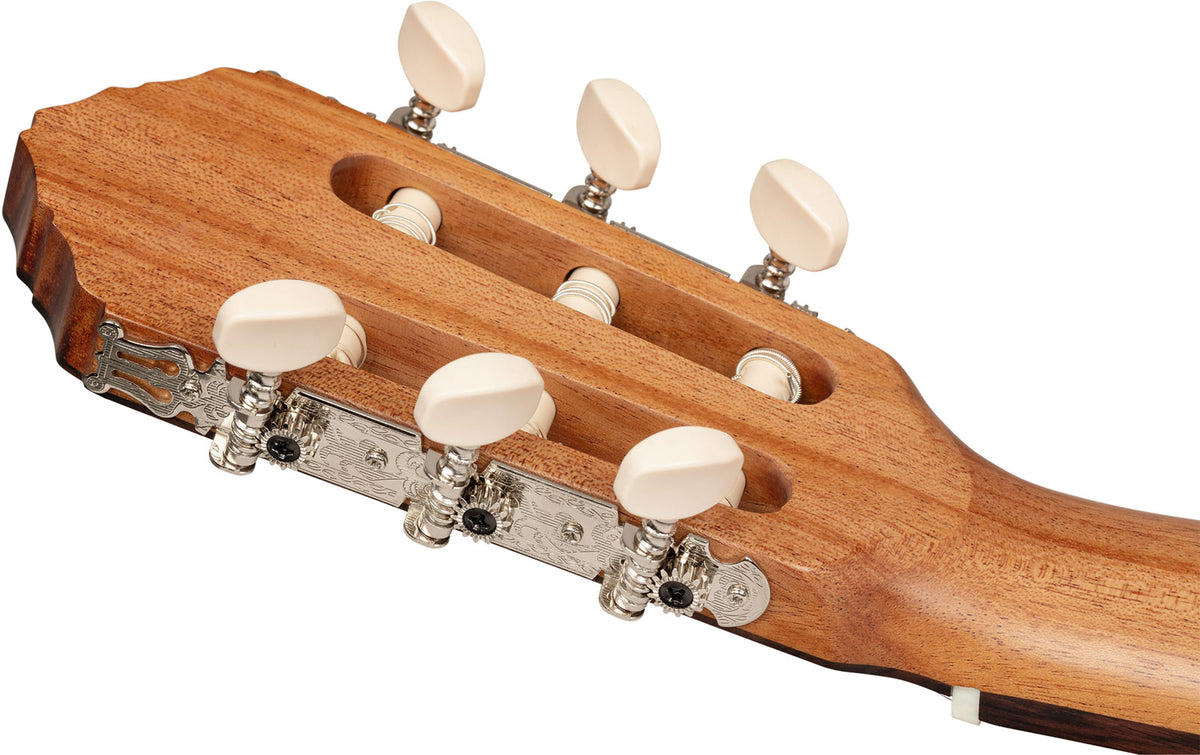 Traditional 4/4 + Pro Gig Bag