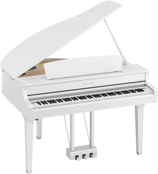 CLP895GP White