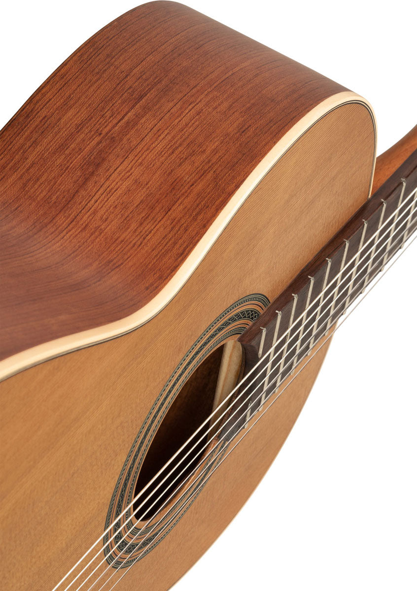 Traditional 4/4 + Pro Gig Bag