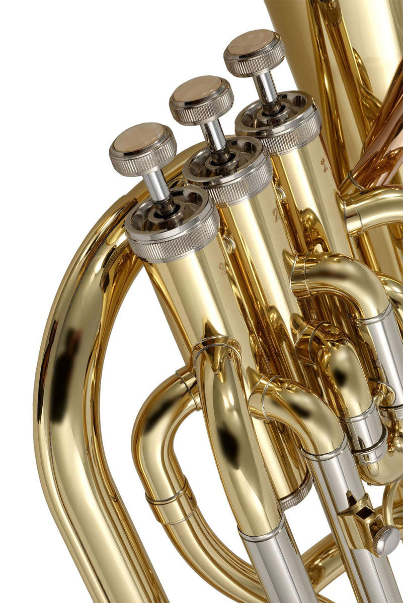 WSH200 - Bb Varnished