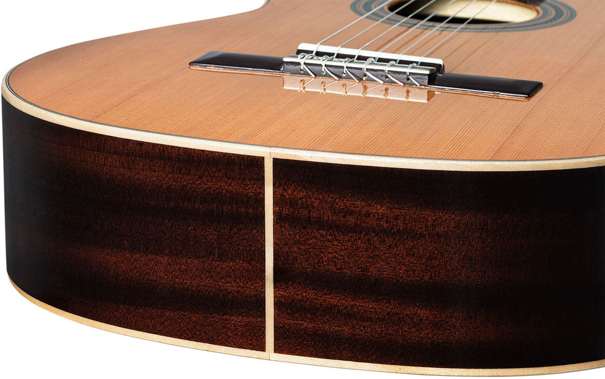 Traditional 4/4 + Pro Gig Bag
