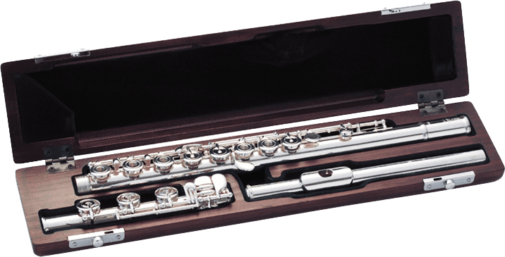 DOLCE ET ELEGANTE B-FLUTE CASE