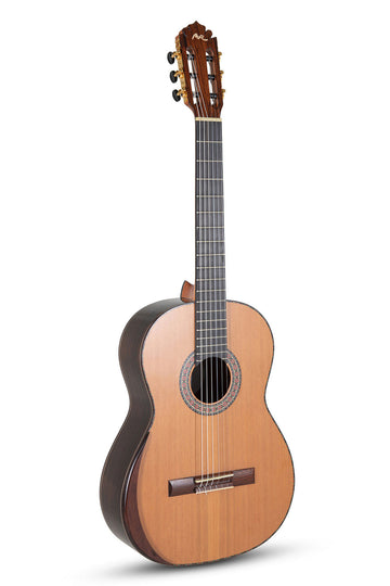 Magistral Series F Ind. Rosewood All Solid Cedar-Rosewood F-C