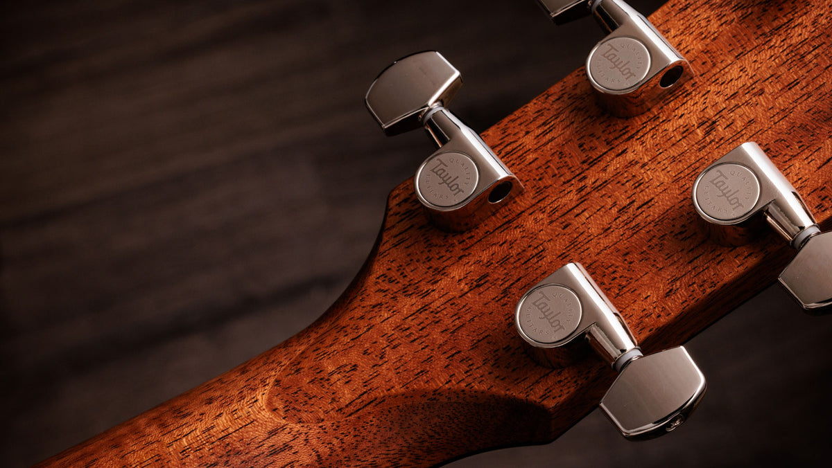 Gold Label 514e Sunburst Cream Pickguard Grand Auditorium
