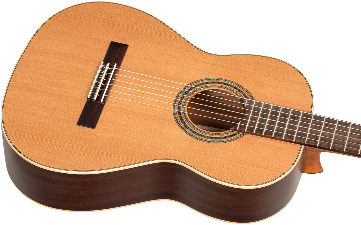 Traditional 4/4 + Pro Gig Bag