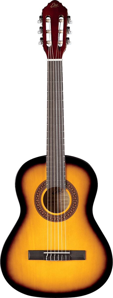 CS-5 3/4 Sunburst + Gig Bag
