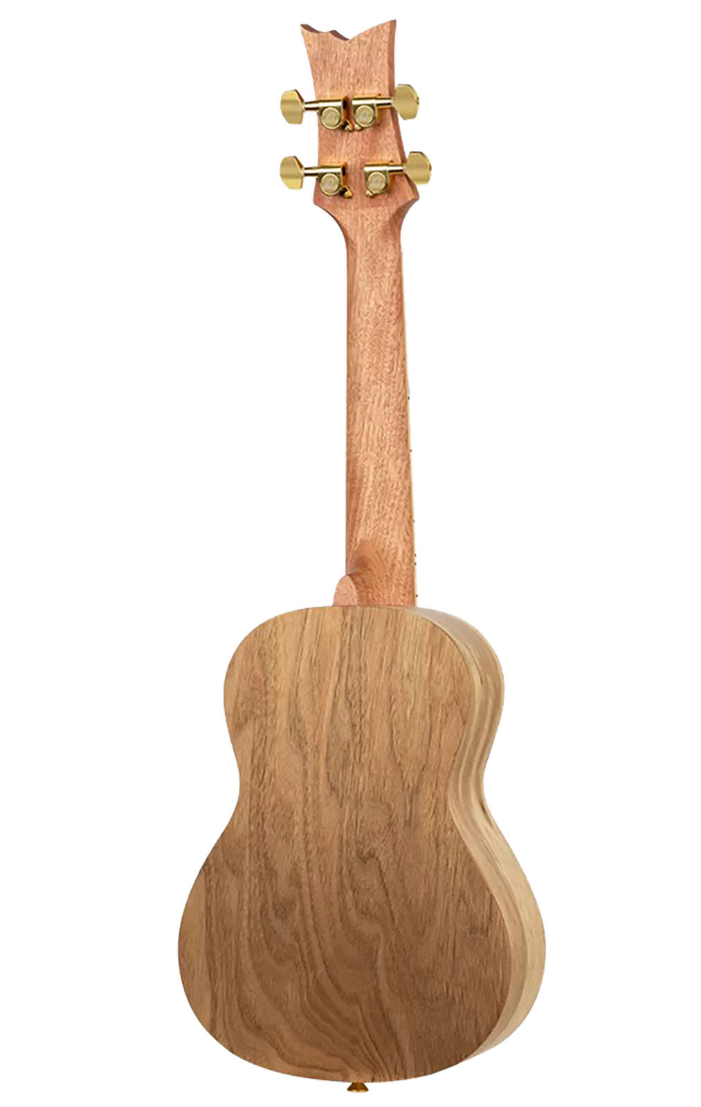Ukulele Concert Series Art Birds