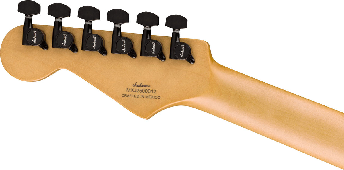 SC1 LTD 50e Years Adrian Smith Signature Iron Maiden