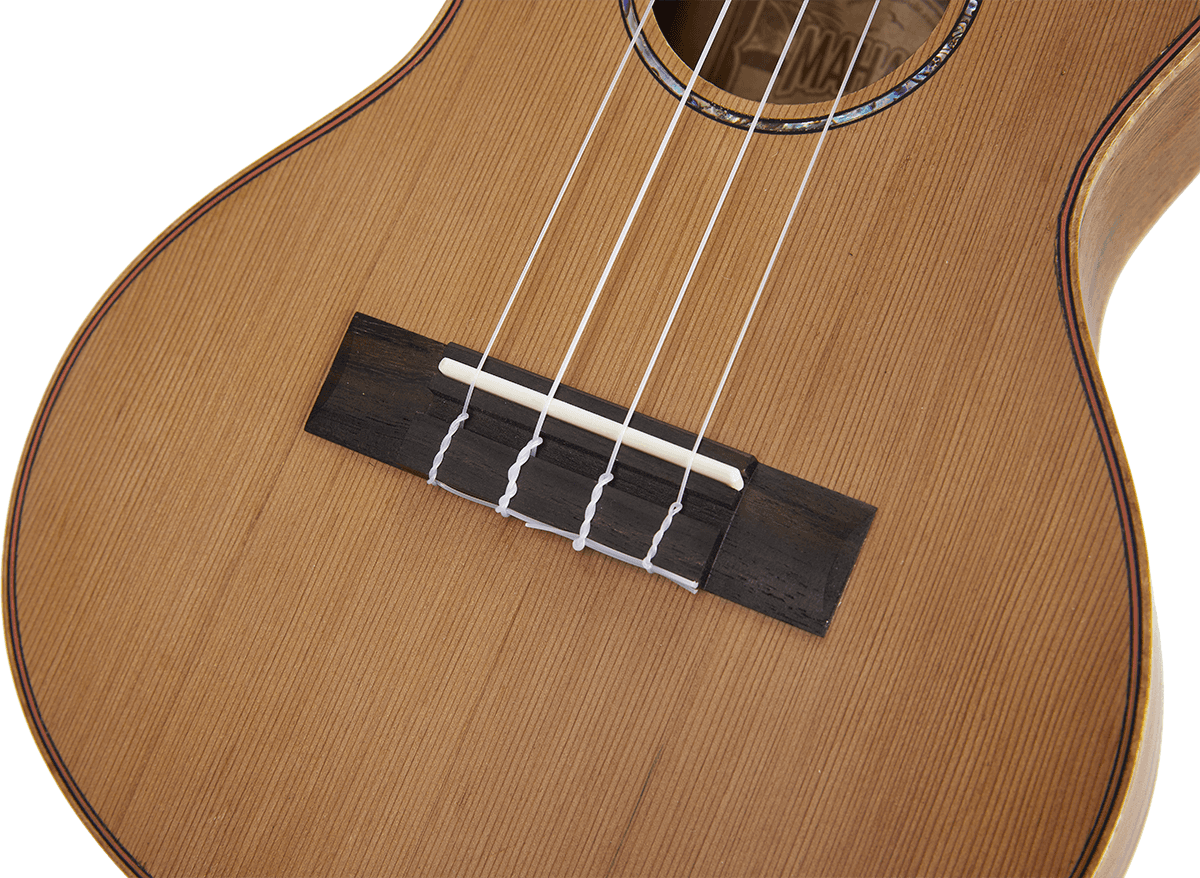 Natural Tenor + Gig Bag