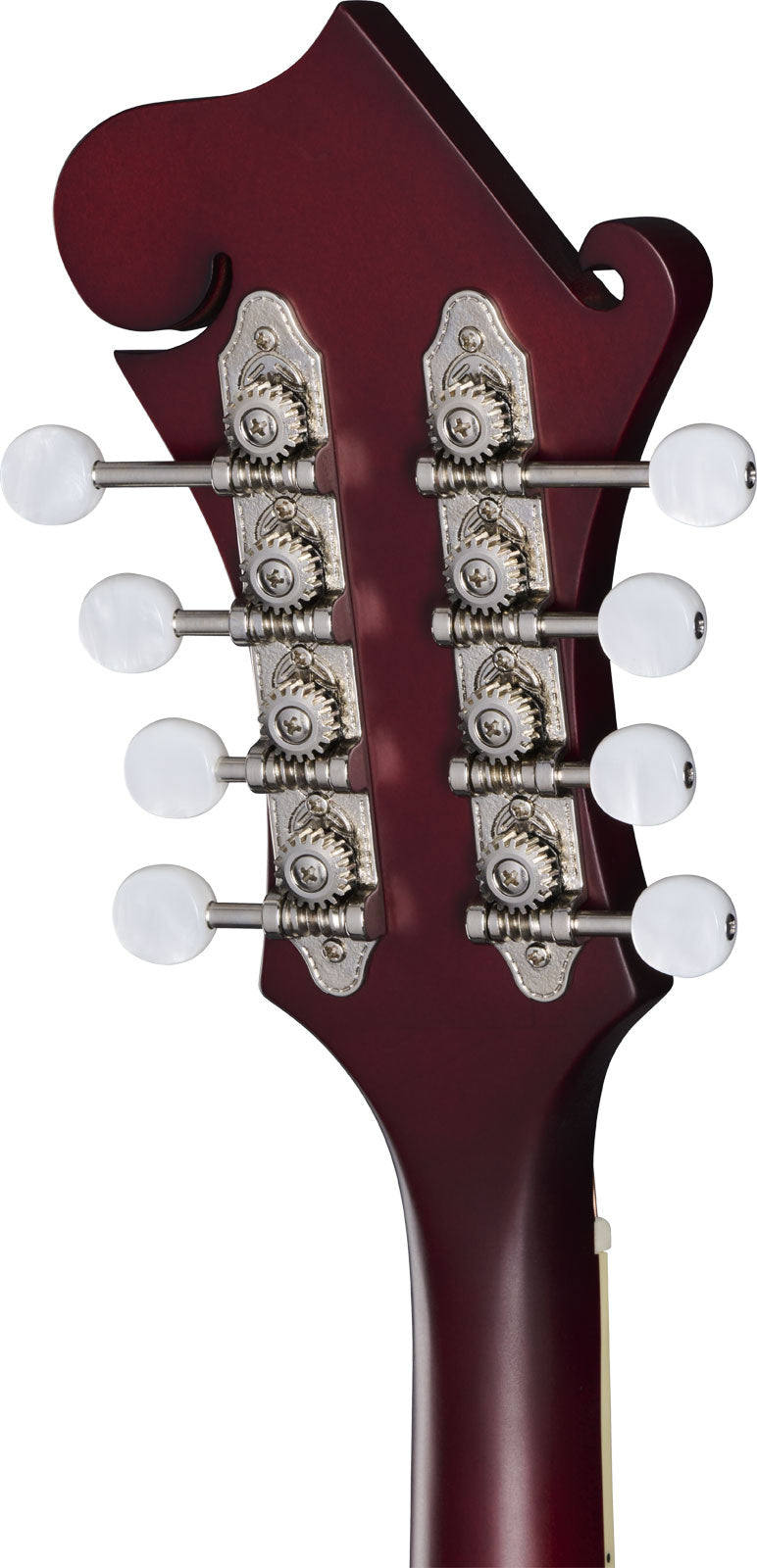 F-5 Studio Wine Red Satin Ibgcs