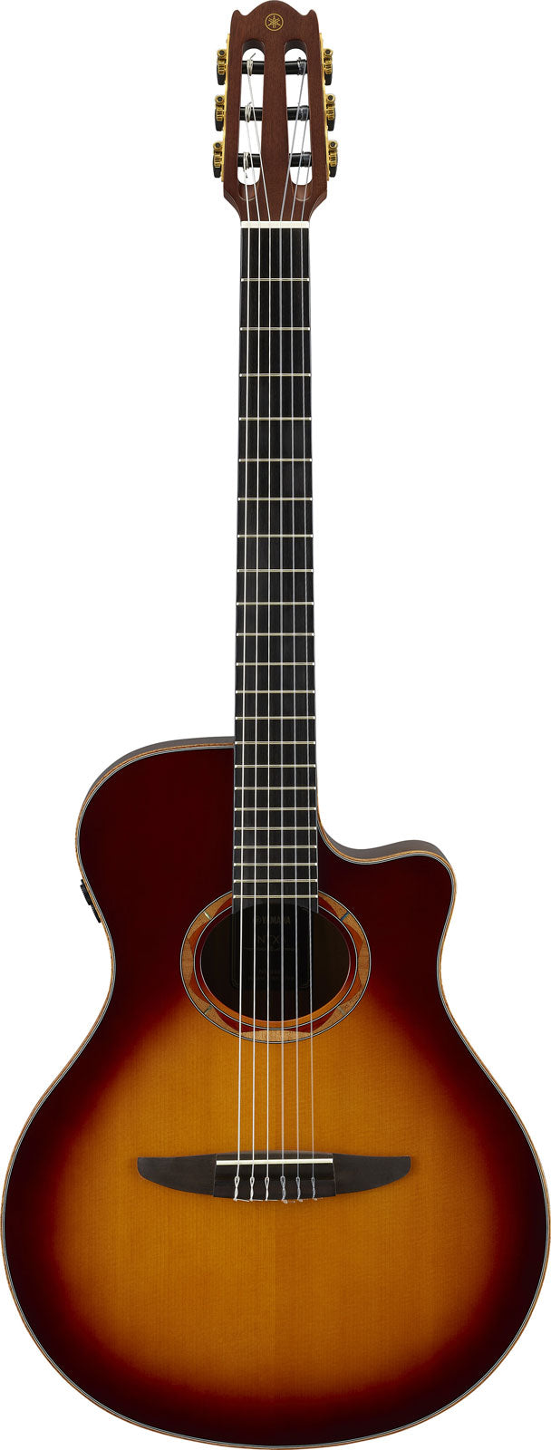 Ntx3 Brown Sunburst