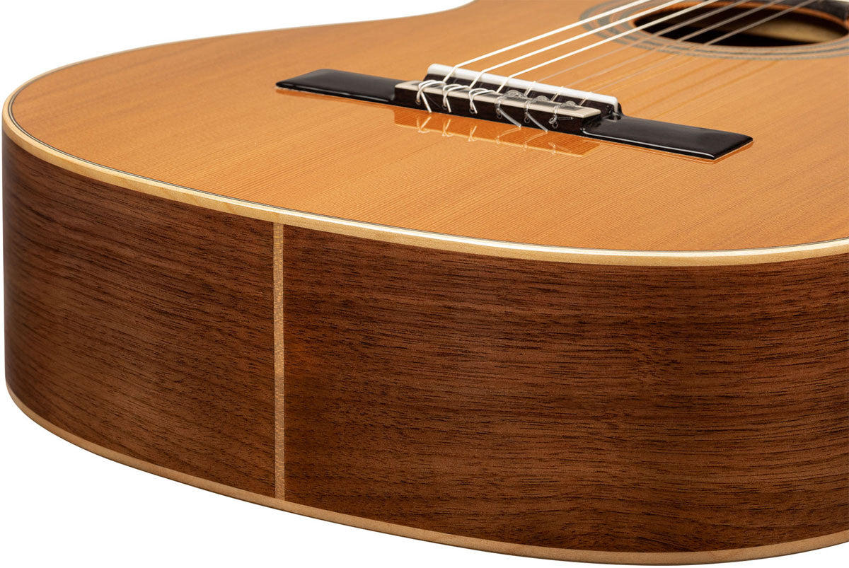 Traditional 4/4 + Pro Gig Bag