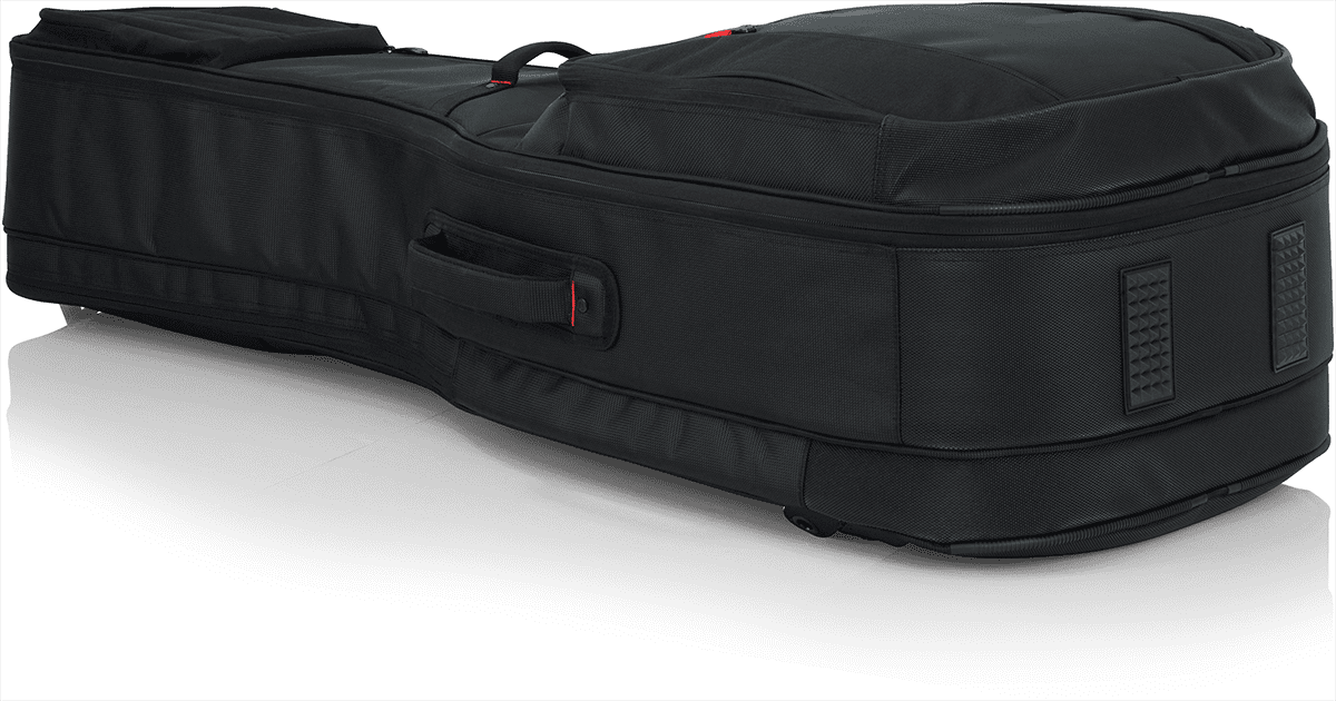 Electric + Folk Double Gigbag - ProGo