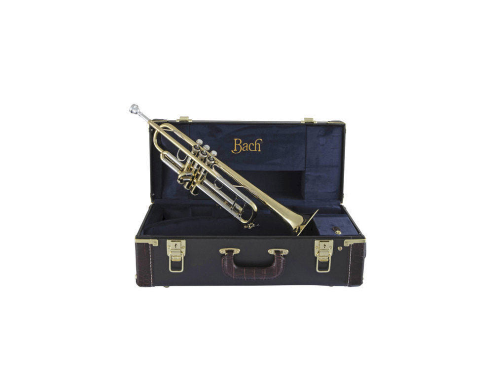 190S43 - Bb STRADIVARIUS CLEAR LACQUER
