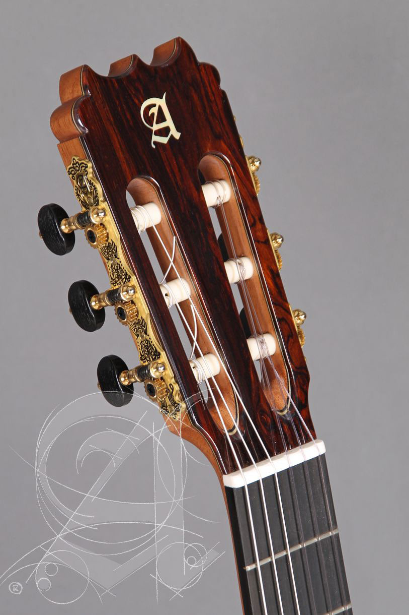 Concert 10Fp Piñana Flamenco + 9557 Case