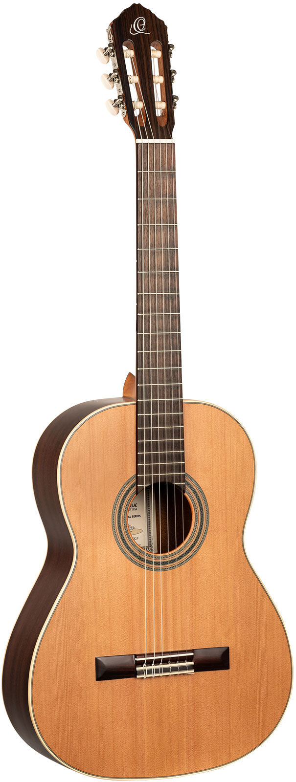 Traditional 4/4 + Pro Gig Bag