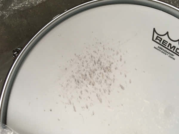 PRESIDENT PHENOLIC ROCK 22 PEARL WHITE OYSTER DRUM SET - B Stock
