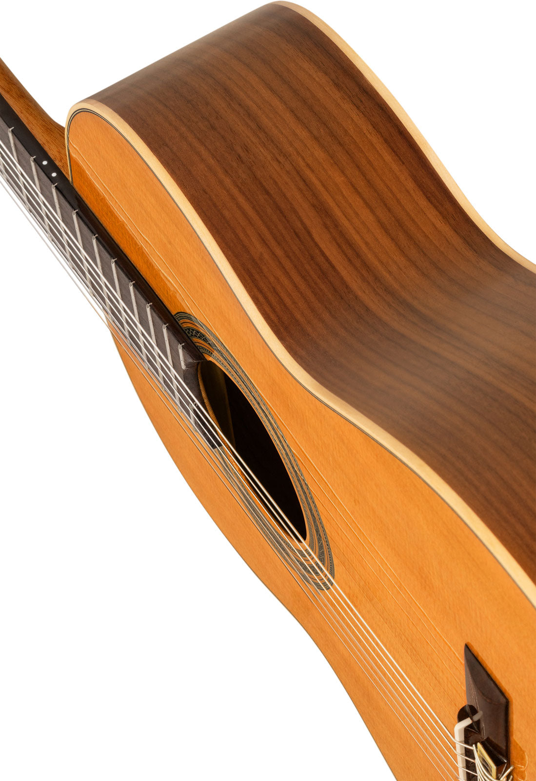 Traditional 4/4 6 LH + Pro Gig Bag