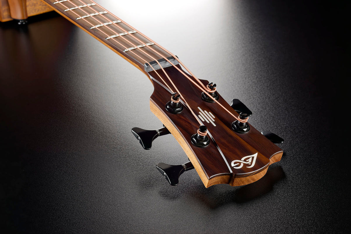 HyVibe 2 Series 10 Acoustic Bass CW