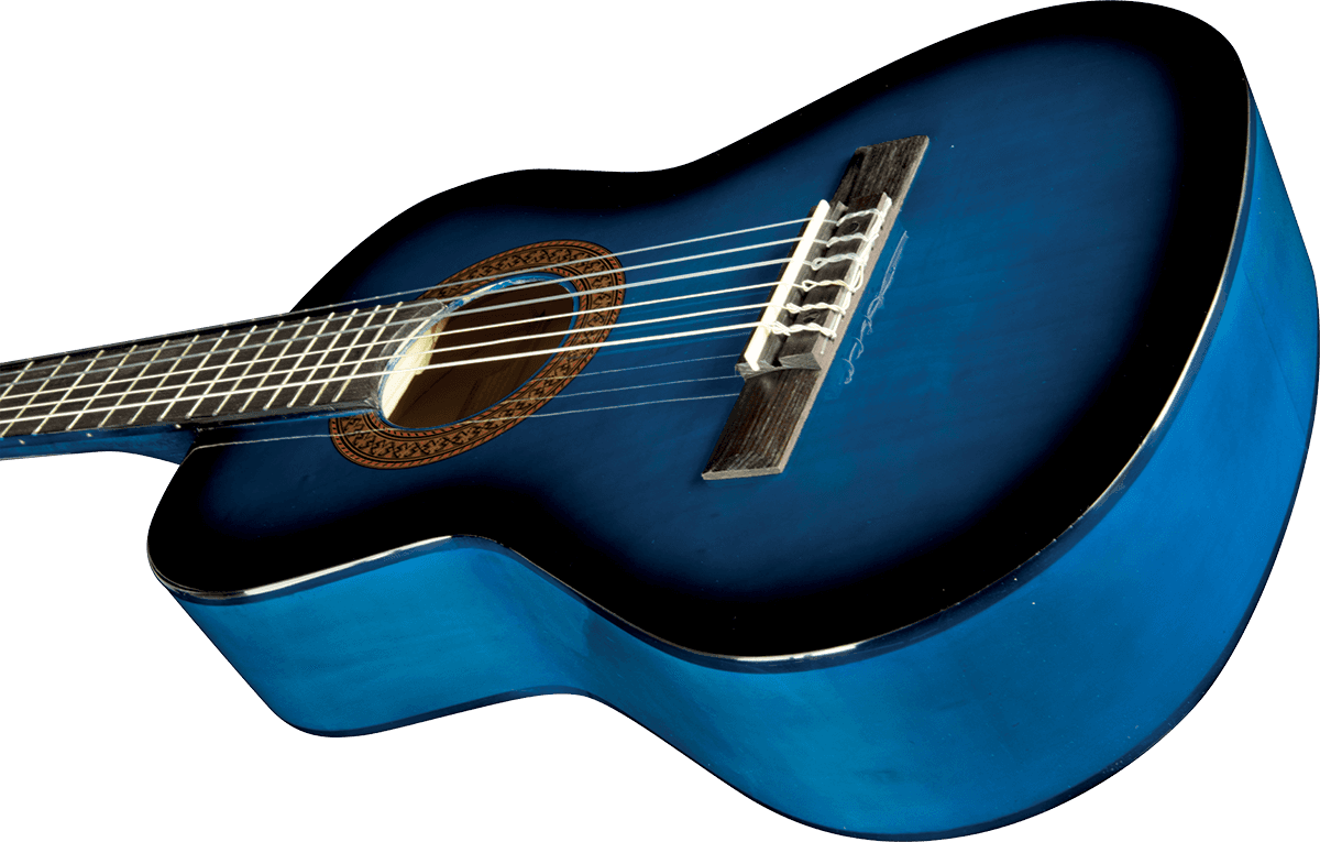 CS-2 1/2 Blue Burst + Gig Bag