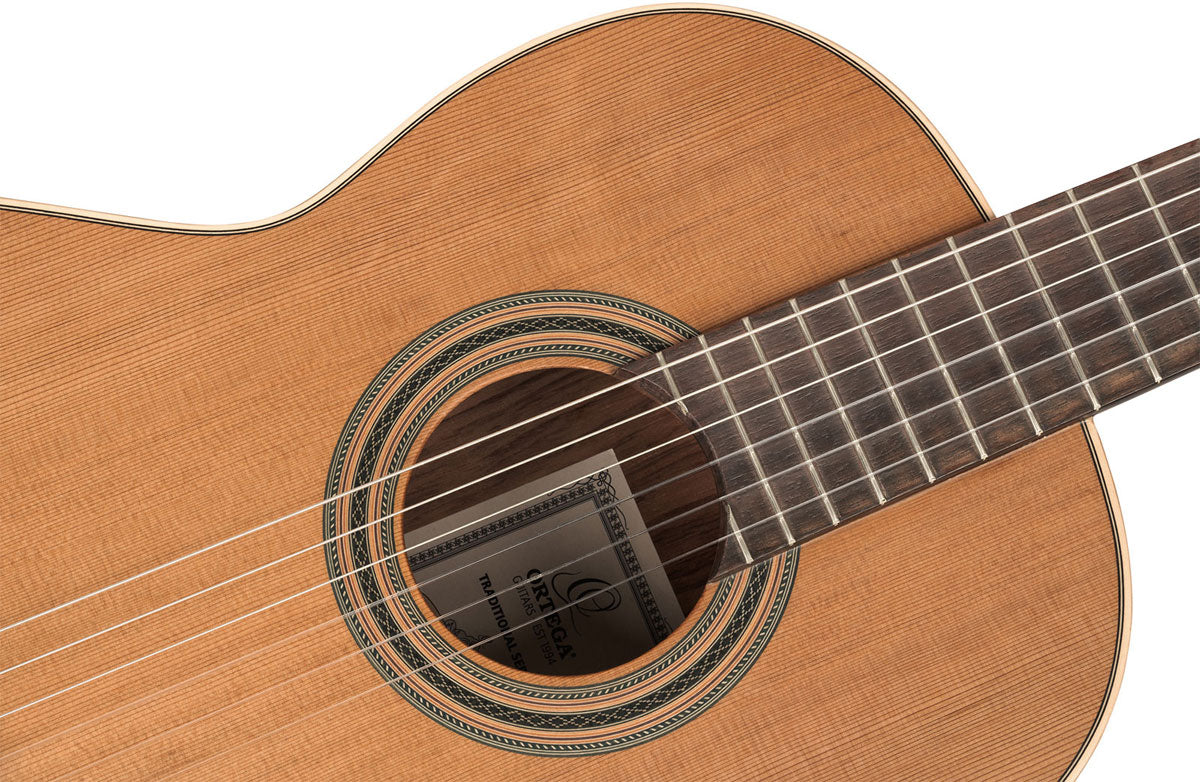 Traditional 4/4 + Pro Gig Bag