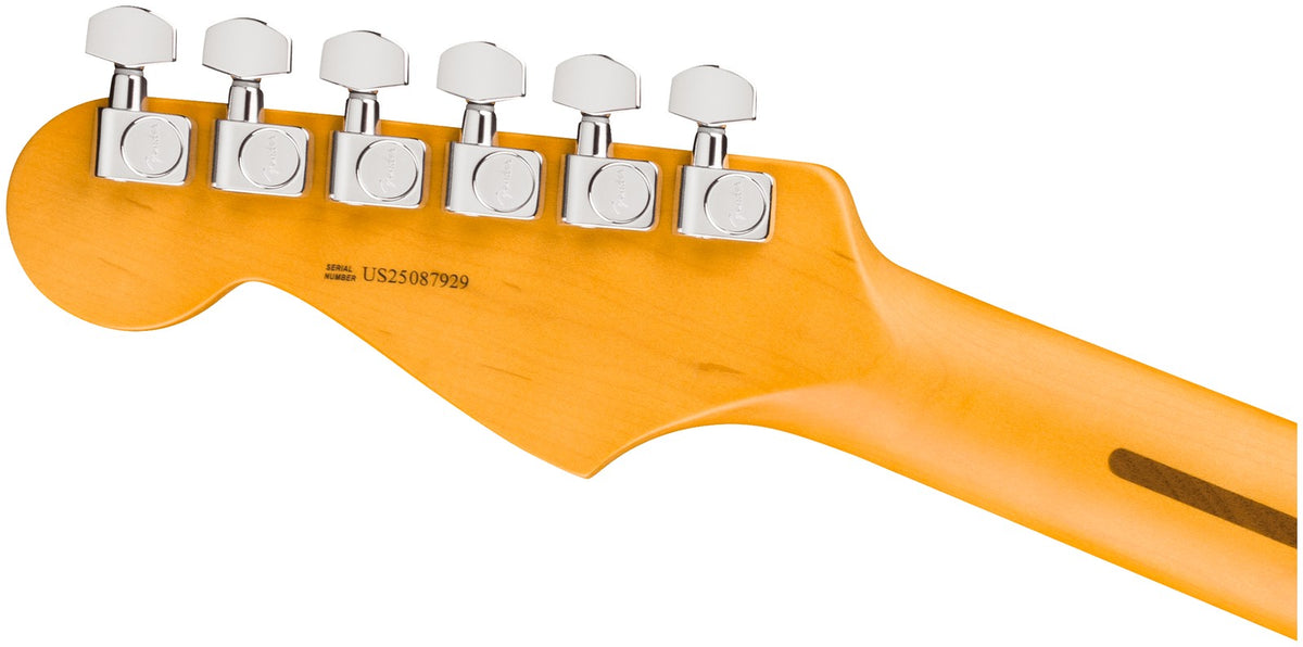 Stratocaster American Professional, RW Dark Night